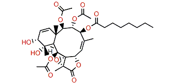 Violide C